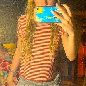 Striped lettuce cut crop